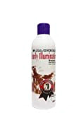 #1 All Systems Glanz-Hundeshampoo Clearly Illuminating - 500 ml Flasche