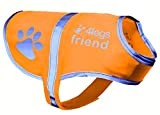 4LegsFriend Hunde Sicherheitsweste (5 Größen, XL) - Hohe Sichtbarkeit für Outdoor Aktivitäten Tag und Nacht, Hält den Hund Sichtbar, Sicher ...