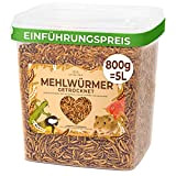 800g Mehlwürmer getrocknet, ideal als Wildvogelfutter und Igelfutter, 800g (entspricht 5 Litern!) getrocknete Mehlwürmer, nährstoffreicher Snack für Nager und Reptilien