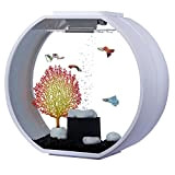 AA Aquarium Deco O 20l weiß Komplettset HPLED mit Mondlicht Touch Zierfelsen Kies