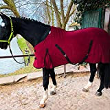 Abschwitzdecke für Shetty, Mini Shetty, Pony Abschwitzdecke Pferd Pferdedecke mit Schweifriemen Fleece (105cm, Bordeaux)