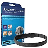 ADAPTIL D.A.P. (hundeberuhigendes Pheromon) Hundehalsband für mittelgroße bis große Hunde, 62 cm