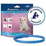 ADAPTIL® Junior Halsband für Welpen| Pheromonhalsband Hund | Halsumfang bis 37,5cm