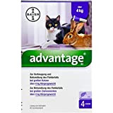 Advantage 80 mg für Katzen und Zierkaninchen über 4 kg Lösung, 3.2 ml Lösung