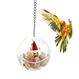 Aeromdale Vogelfutter Futter Ball IntelligenToy für Papagei Wellensittich Nymphensittich Conure Afrikanisches Grau Kakadu Ara Lovebird Finch Canary Cage Feeder Spielzeug