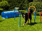 Agility Set für Hunde, Trainings-Set mit Hürde, Sprungring, Stangen und Tunnel