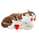 ALL FOR PAWS Kleiner Buddy Herzschlag Schaf, Welpenspielzeug mit Herzschlag Hundetrainingsspielzeug zur Linderung von Trennungsängsten Verhaltenshilf Schaf