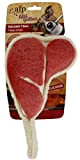 ALL FOR PAWS Plush Delectable T-Bone, groß, VP7020, Cranberry, L