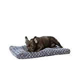 Amazon Basics Hundebett und Haustierbett für Kleine Hunde und Katzen - Waschbar und Strapazierfähig, 74 x 53 x 8 cm, ...