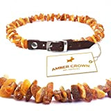 Amber Crown - Bernsteinkette für Hunde und Katzen mit Lederschließe, gegen Zecken und Flöhe
