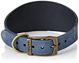 Ancol Timberwolf Halsband für Windhunde, 34-43 cm, Blau