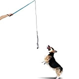 Andoer Interaktives Hundespielzeug, Ausziehbare Teaser Pole, Interactive Haustier Hund Flirt Pole, Training Exercise Seil Spielzeug, Trainingsgerät für Haustiere, Größe L