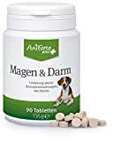 AniForte Magen & Darm Hunde Tabletten 90 Stück - Bei akutem Durchfall & Magen-Darm-Beschwerden, Präbiotika zum Darmflora aufbauen