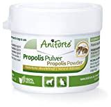 AniForte Propolis Pulver für Hunde & Katzen 20g - Natürliche Unterstützung Immunsystem & Vitale Haut durch Kraft der Natur. Hochwertiges ...