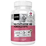 Animigo Multivitamin 365 Hundetabletten - Vitamin B Komplex mit den Vitaminen A C E & D3-18 Hundemineralien & Vitamine für ...