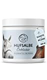 Annimally Hufbalsam für Pferde 500 ml Hufpflege für gesunde Hufe I Huffett für Pferde hält Besser als Huföl I Hufsalbe ...