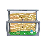 AntHouse - Natürliche Ameisenfarm aus Sand 3D | Modell L (Sandwich + Futterbox) Grau | Ant Farm | Inklusive Ameisenkolonie