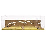 Anthouse - Natürliche Ameisenfarm aus Sand - Big Acryl Starter Set 30x15x10 cm (Ameisen)