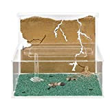 AntHouse - Natürliche Ameisenfarm aus Sand | Modell L (Sandwich + Futterbox) | Inklusive Ameisenkolonie