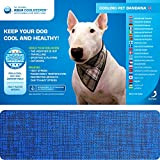 Aqua Coolkeeper 50AQPEBAPB11 Kühlendes Bandana für Hunde, 61-70 cm, Blau