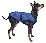 Aqua Coolkeeper Kühlender Hunde-Mantel