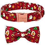 ARING PET Weihnachten Hundehalsband-Rot Hundehalsband mit Fliege, Baumwolle Weihnachten Hundehalsbänder mit Metallschnalle für kleine mittlere große Junge und Mädchen Hunde