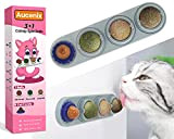 Aucenix Katzenminze Ball, 4 Stück Natürliche Katzenminze Bälle Spielzeug für Katzen Lecken, Drehbare Zahnreinigung Dental Katze Spielzeug, Katzenminze Spielzeug für ...