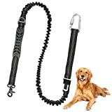 Auto-Sicherheitsgurt für Hunde, Adjustable Dog Safety Belt for Car, Dog Car Harnesses Belt, Dog Car Harness mit Elastischer Ruckdämpfung und ...