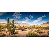 AWERT 120 x 61 cm Terrarium-Hintergrund, blauer Himmel, Wüste, Oase, Kaktus, Reptilien, Habitat-Hintergrund, langlebiger Vinyl-Hintergrund (kein Aufkleber)