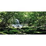 AWERT 180 x 46 cm Wald-Terrarium-Hintergrund Tropischer Regenwald Reptilien Habitat Hintergrund Stein Sonniger Wasserfall Aquarium Hintergrund Durable Vinyl Hintergrund (kein ...