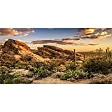 AWERT 91 x 50 cm Reptilien-Habitat-Hintergrund, blauer Himmel, Oase, Kaktus, Sonne und Wüste, Terrarium-Hintergrund, langlebiger Vinyl-Hintergrund (kein Aufkleber)