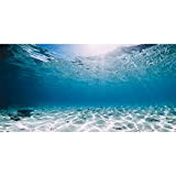 AWERT 91 x 50 cm robuster Vinyl-Hintergrund für Aquarien, Unterwasser, Meeresboden, tropischer Aquarium-Hintergrund (kein Aufkleber)