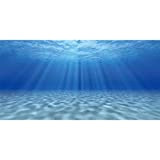 AWERT 91 x 50 cm Untersee-Thema-Aquarium-Hintergrund Sonnenschein Unterwasserwelt, Fischtank-Hintergrund, langlebiger Vinyl-Hintergrund (kein Aufkleber)