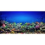 AWERT Hintergrund für Aquarien, 120 x 50 cm, Koralle, Unterwasserwelt, Aquarium, Hintergrund aus strapazierfähigem Vinyl (nicht Aufkleber)