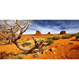 AWERT Hintergrund für Reptilien-Habitat, 180 x 61 cm, Orange Desert Terrarium, langlebiger Vinyl-Hintergrund (nicht Aufkleber)