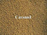 Axogravel Caramel 5Kg, Spezialbodengrund für Axolotl