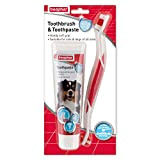 beaphar 8711231153039 Beaphar Toothbrush & Toothpaste for Dogs