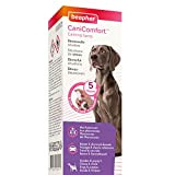 beaphar CaniComfort Wohlfühl-Spray, Beruhigungsmittel für Hunde mit Pheromonen, 60 ml