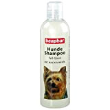 Beaphar Hunde Shampoo - Fell-Glanz - Für alle Hunderassen - pH-neutral - 1er Pack (1 x 250 ml)