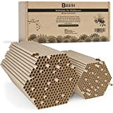 BEESI 600x Nisthülsen für Wildbienen 6 und 8 mm Ø I Wasserabweisend hohe Lebensdauer I Nisthilfe, Zubehör, Füllmaterial für Insektenhotel