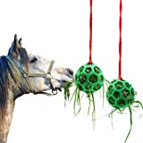 Besimple Heu-Futterstation für Pferde, Ziegenball, zum Aufhängen, für Pferde, Ziegen, Schafe, Stressabbau, 2 Stück (Grün)