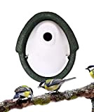 BigDean Nisthöhle Oval - Nistkasten Kleinvögel Einflugloch 32 mm Grün Meisenkasten Meisen Kasten Vogelhaus Holzbeton Meisennistkästen
