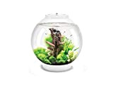 biOrb 72007 CLASSIC 30 LED weiß - dekoratives Aquarium Komplett-Set mit Filter-System, LED-Beleuchtung und Keramik-Kies aus widerstandsfähigem Acryl-Glas