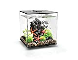 biOrb 72017 CUBE 30 LED schwarz – stilvolles Aquarium Komplett-Set mit patentiertem Filter-System, LED-Beleuchtung und Keramik-Kies | aus bruchsicherem Acryl-Glas