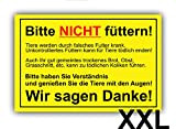 Bitte Pferde nicht füttern – XXL - Kunststoff Schild (50 x 33cm), Hinweisschild, Verbotsschild, Warnhinweis Kolik Pferde Stall Weide Wiese ...