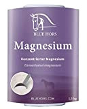 Blue Hors Magnesium Pferd 1,5 kg | konzentriertes Magnesium für nervöse Pferde | Ergänzungsfutter zur Unterstützung von Muskulatur und Nervensystem