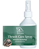 Blue Hors Thrush Care | Strahlpflege gegen Strahlfäule von Pferde 250 ml | Äußerst wirksam und reinigend | Austrocknender Effekt ...