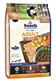 bosch HPC Adult mit frischem Lachs & Kartoffel | Hundetrockenfutter für ausgewachsene Hunde aller Rassen | 1 x 3 kg
