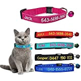 Brillianne Benutzerdefiniertes Breakaway Cat-Halsband, personalisiert mit Glocke, Sicherheitsverschluss, gesticktem ID-Namen am Kätzchenhalsband