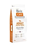 Brit Lamb und Rice Adult Medium Breed, 1er Pack (1 x 12 kg)